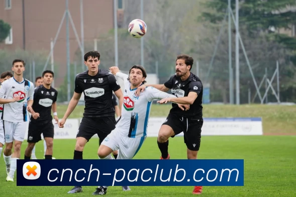 PA直营平台品牌故事